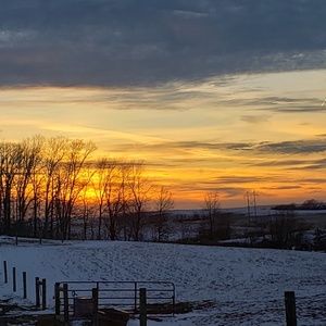 Meet your Posher, Ally